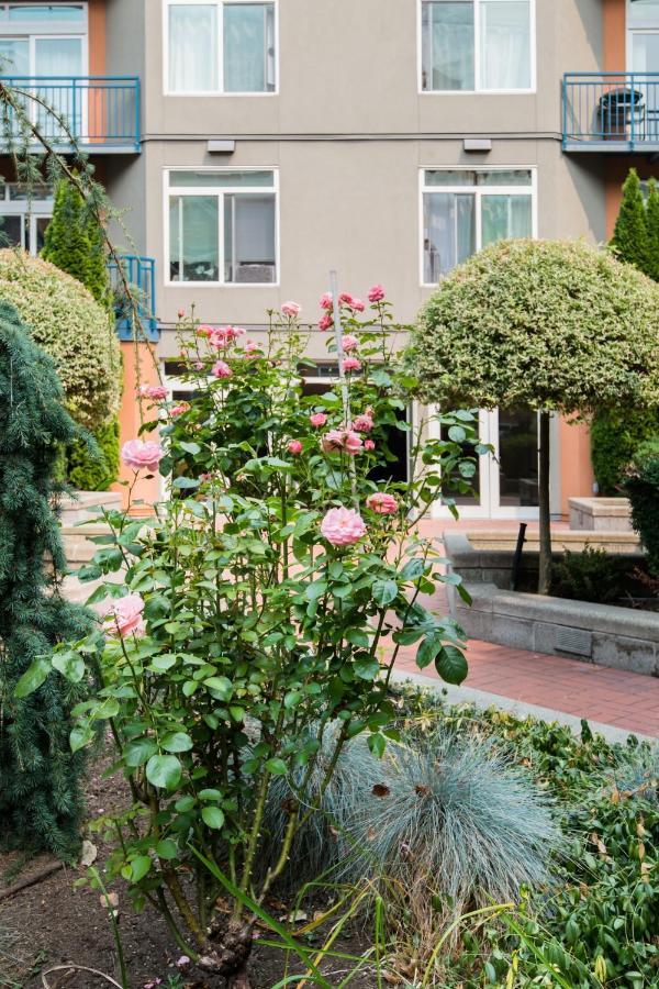 City Water View Oasis With Pool & Gym Near Cruise In Heart Of Seattle Exterior photo